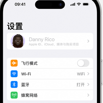 仁布appleID维修服务iPhone设置中Apple ID显示为灰色无法使用