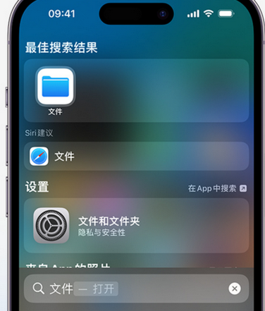 仁布apple维修中心分享iPhone文件应用中存储和找到下载文件 