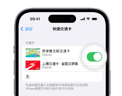 仁布apple维修点分享iPhone上更换Apple Pay快捷交通卡手绘卡面 