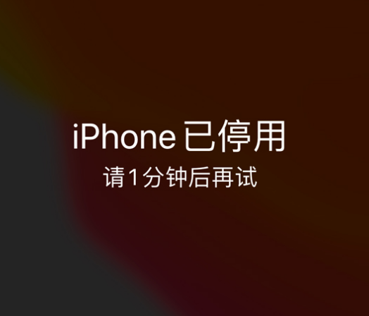 仁布苹果手机维修分享:iPhone 显示“不可用”或“已停用”怎么办？还能保留数据吗？ 