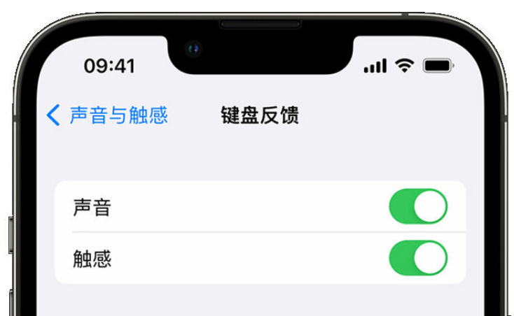 仁布苹果手机维修分享iPhone 14触感键盘使用方法 