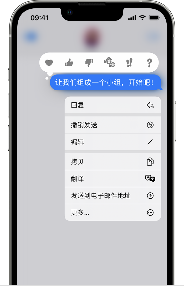 仁布苹果手机维修分享iPhone 信息发送后多长时间内可以撤回或编辑 