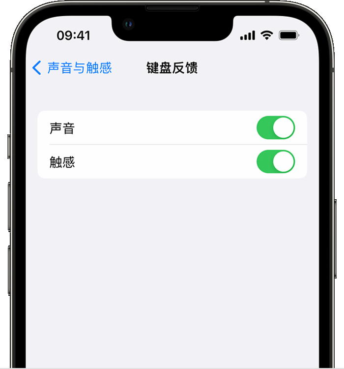 仁布苹果14维修店分享如何在 iPhone 14 机型中使用触感键盘 