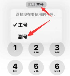 仁布苹果14维修店分享iPhone 14 Pro Max使用副卡打电话的方法 