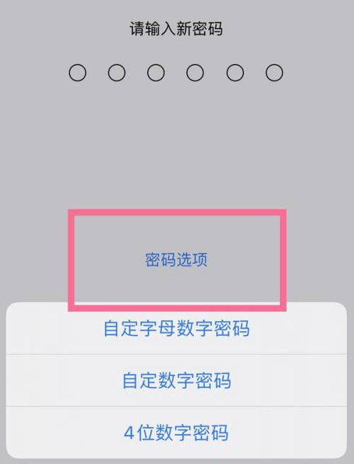 仁布苹果14维修分享iPhone 14plus设置密码的方法 