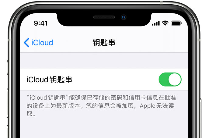 仁布苹果手机维修分享在 iPhone 上开启 iCloud 钥匙串之后会储存哪些信息 