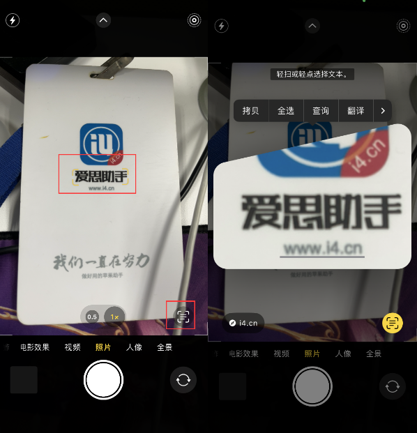 仁布苹果手机维修分享升级iOS 16后如何通过相机翻译文本 