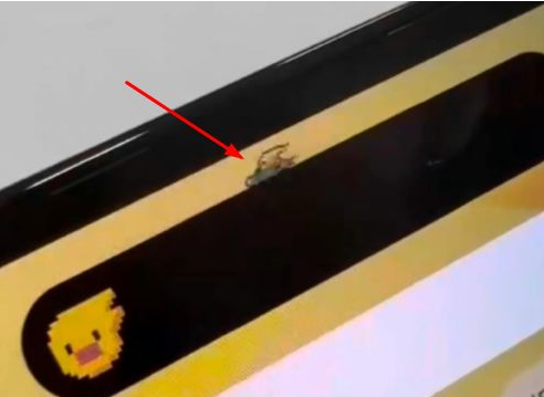 仁布苹果14维修分享iPhone 14 Pro Max灵动岛怎么养宠物 