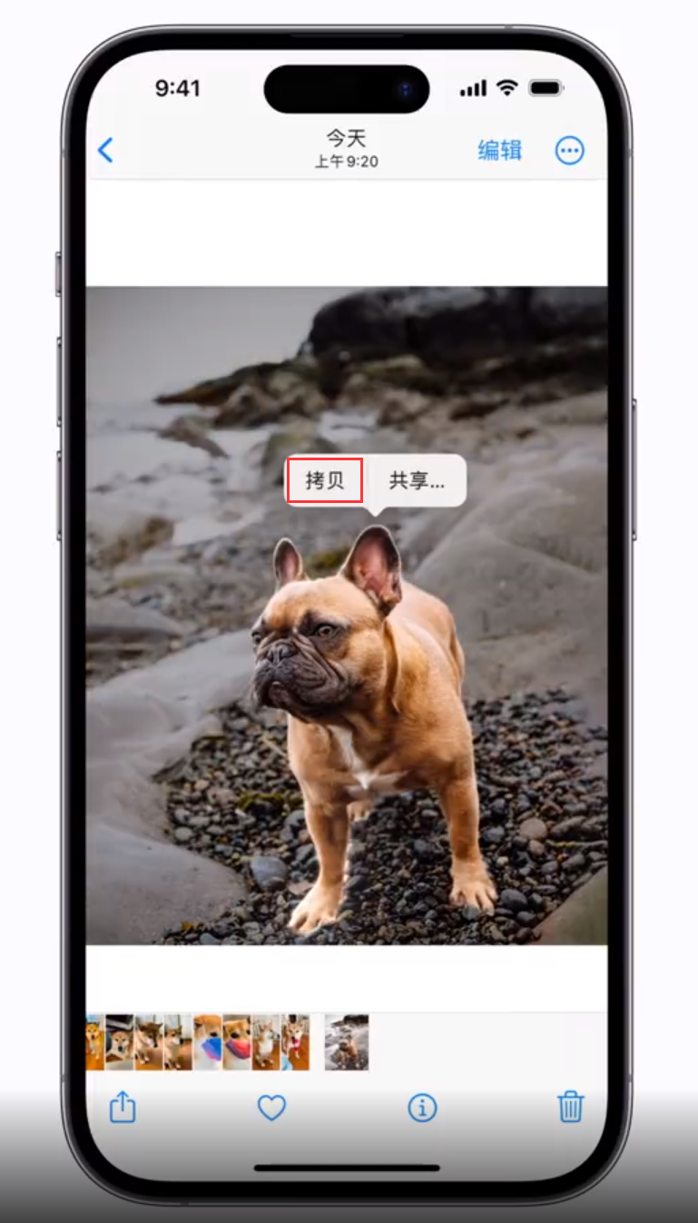 仁布 苹果手机维修分享iOS 16 “照片”应用更新内容与改进汇总 