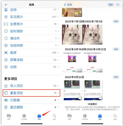 仁布苹果手机维修分享iOS 16 中相册重复项目功能使用方法 