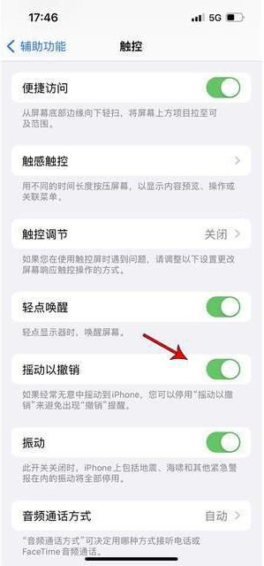 仁布苹果手机维修分享iPhone手机如何设置摇一摇删除文字 