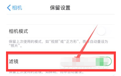 仁布苹果13维修分享iPhone13拍照有绿点是怎么回事 