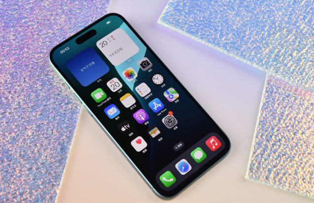 仁布苹果手机维修分享为什么大家不喜欢苹果iPhone 16 Plus 