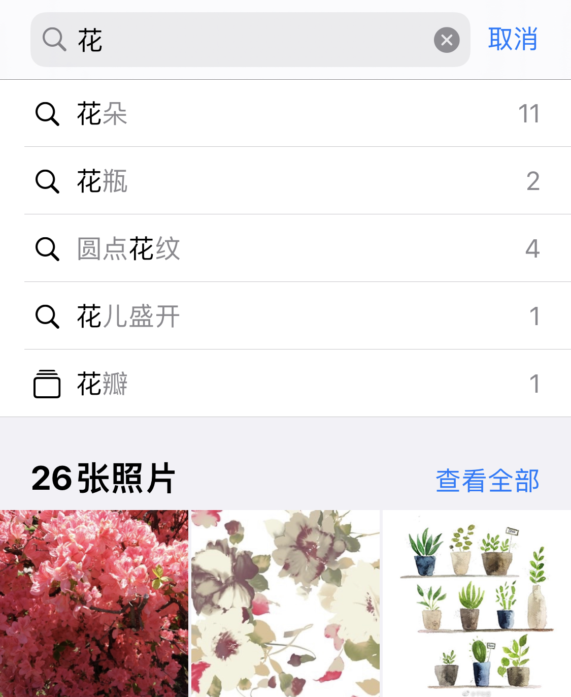 仁布苹果手机维修分享iPhone 小技巧 