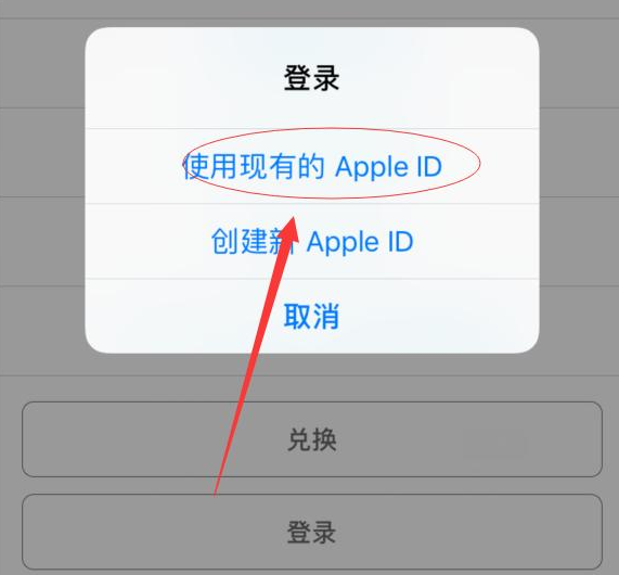 仁布苹果手机维修分享两台iPhone设备可以同时登录一个Apple ID吗 