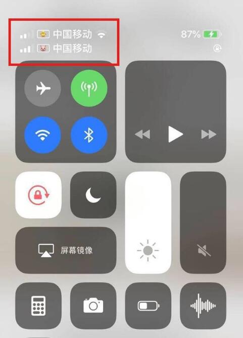 仁布苹果手机维修分享为 iPhone 12 双卡设置标签 
